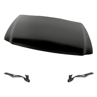 Replacement - 3-Piece (Hood Panel, Driver and Passenger Side Hood Hinge) (Standard Line)