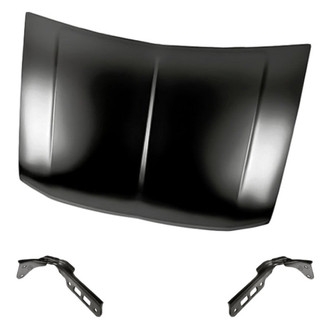 Replacement - 3-Piece (Hood Panel, Driver and Passenger Side Hood Hinge) (Standard Line)