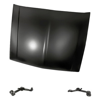 Replacement - 3-Piece (Hood Panel, Driver and Passenger Side Hood Hinge) (Standard Line)