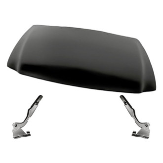 Replacement - 3-Piece (Hood Panel, Driver and Passenger Side Hood Hinge) (Standard Line)