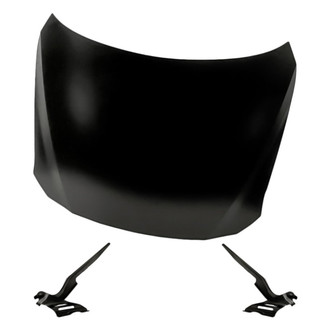 Replacement - 3-Piece (Hood Panel, Driver and Passenger Side Hood Hinge) (Standard Line)