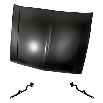 Replacement - 3-Piece (Hood Panel, Driver and Passenger Side Hood Hinge) (Standard Line)