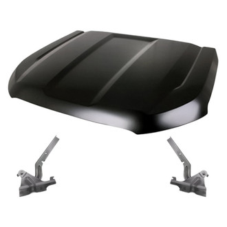 Replacement - 3-Piece (Hood Panel, Driver and Passenger Side Hood Hinge) (Standard Line)