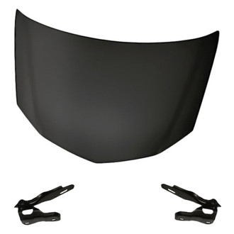Replacement - 3-Piece (Hood Panel, Driver and Passenger Side Hood Hinge) (Standard Line)
