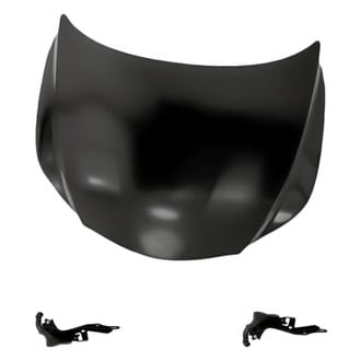 Replacement - 3-Piece (Hood Panel, Driver and Passenger Side Hood Hinge) (Standard Line)