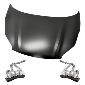 Replacement - 3-Piece (Hood Panel, Driver and Passenger Side Hood Hinge) (Standard Line)
