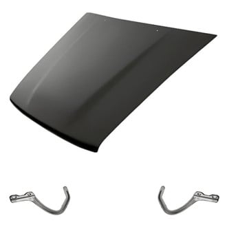 Replacement - 3-Piece (Hood Panel, Driver and Passenger Side Hood Hinge) (Standard Line)