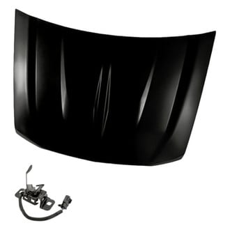Replacement - 2-Piece (Hood Panel, Hood Latch) (Standard Line)
