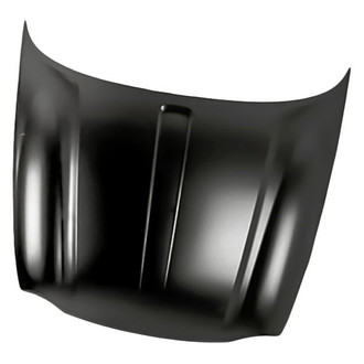 Replacement - Hood Panel