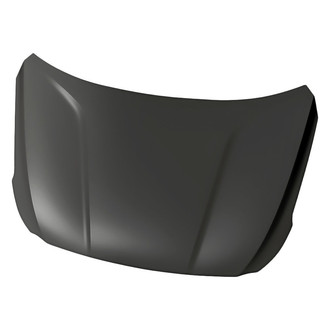 Replacement - Hood Panel (Standard Line)