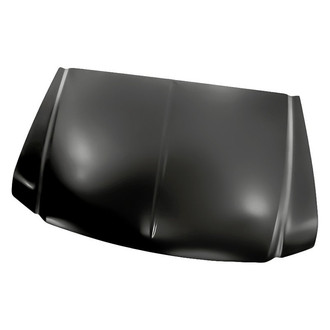 Replacement - Hood Panel