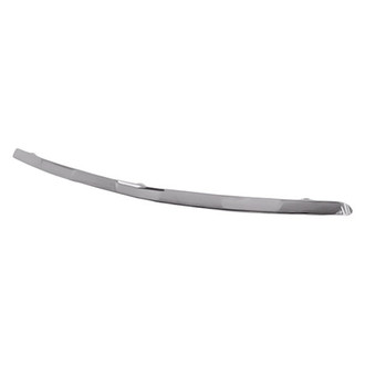 Replacement - Front Lower Bumper Cover Molding (Standard Line)