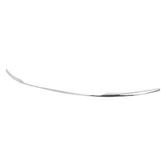 Replacement - Front Bumper Cover Molding (Standard Line)