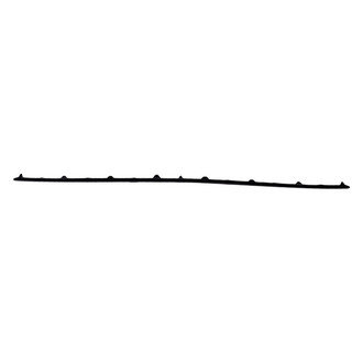Replacement - Front Lower Bumper Cover Molding (Standard Line)