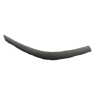 Replacement - Front Passenger Side Bumper Pad Molding (Standard Line)