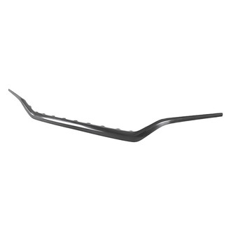 Replacement - Front Lower Center Bumper Cover Molding (CAPA Certified)
