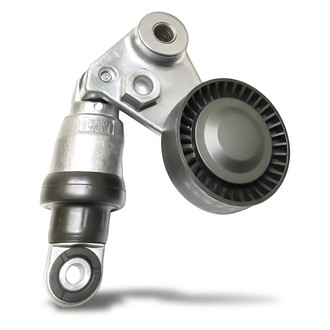 Replacement - Drive Belt Tensioner