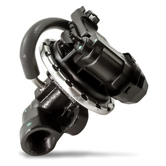 Replacement - New EGR Valve