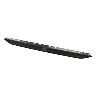 Replacement - Tailgate Molding (Standard Line)