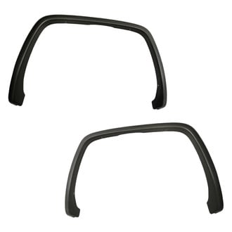 Replacement - Rear Driver and Passenger Side Wheel Arch Molding Set (CAPA Certified)