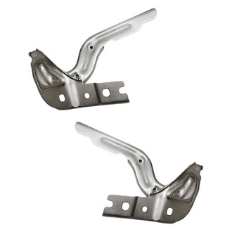 Replacement - Driver and Passenger Side Hood Hinge Set (Standard Line)