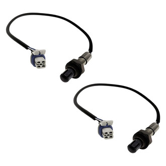 Replacement - Oxygen Sensor Set