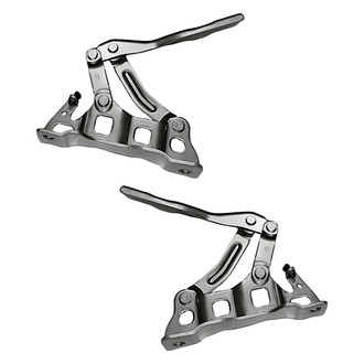Replacement - Driver and Passenger Side Hood Hinge Set (Standard Line)
