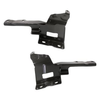 Replacement - Driver and Passenger Side Hood Hinge Set (Standard Line)