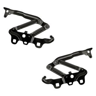 Replacement - Driver and Passenger Side Hood Hinge Set (Standard Line)