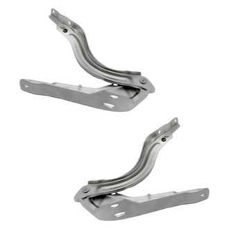 Replacement - Driver and Passenger Side Hood Hinge Set (Standard Line)