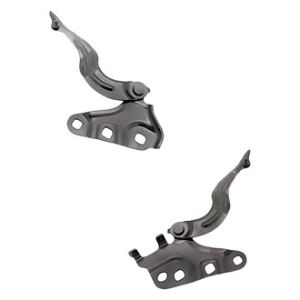 Replacement - Driver and Passenger Side Hood Hinge Set (Standard Line)