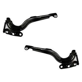 Replacement - Driver and Passenger Side Hood Hinge Set (Standard Line)