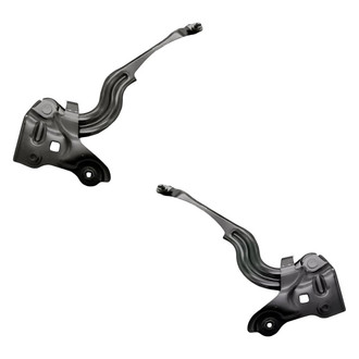 Replacement - Driver and Passenger Side Hood Hinge Set (Standard Line)