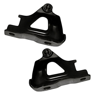 Replacement - Lower Driver and Passenger Side Hood Hinge Set (Standard Line)