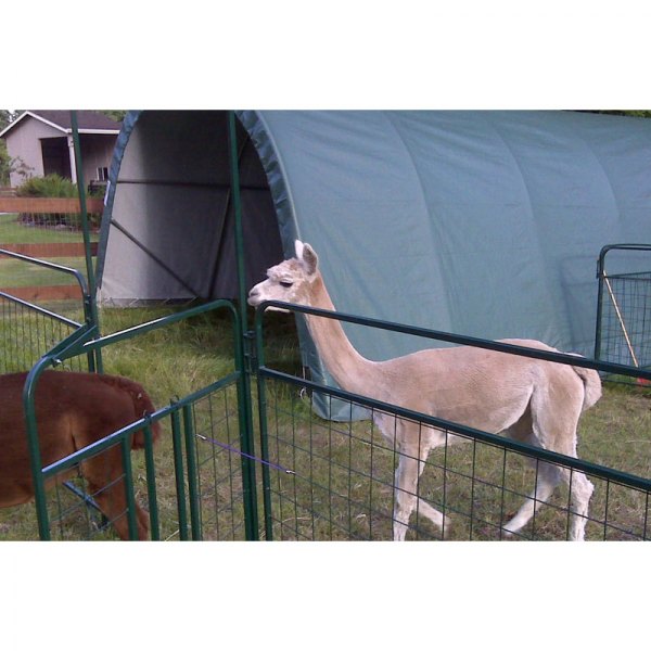 Rhino Shelter® - Round Style 12' W x 20' L x 8' H Gray Horse/Livestock Run In Shelter House