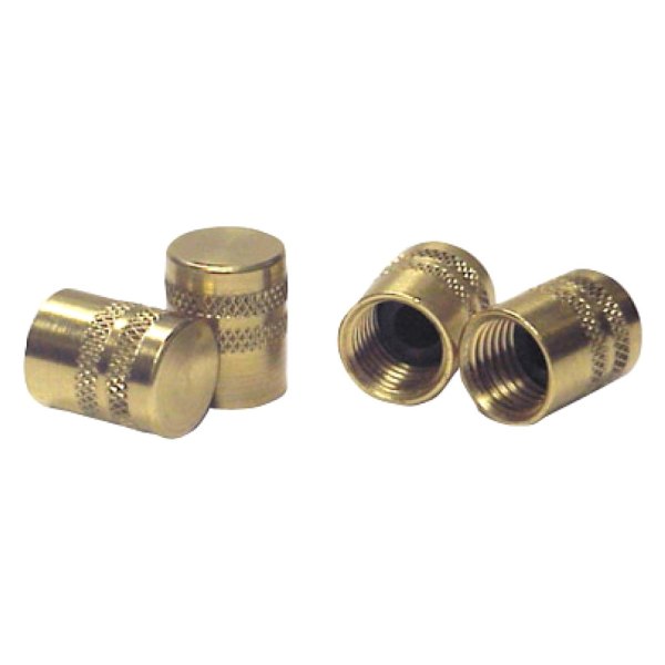 Robinair® - Quick Seal™ Brass Caps (6 pieces)