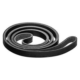 ROUSH Performance® - Drive Belt