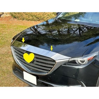 SAA® - Polished Hood Accent Trim