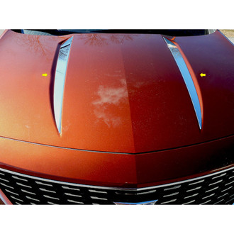 SAA® - Polished Hood Accent Trim