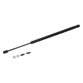 Sachs® - Back Glass Lift Support