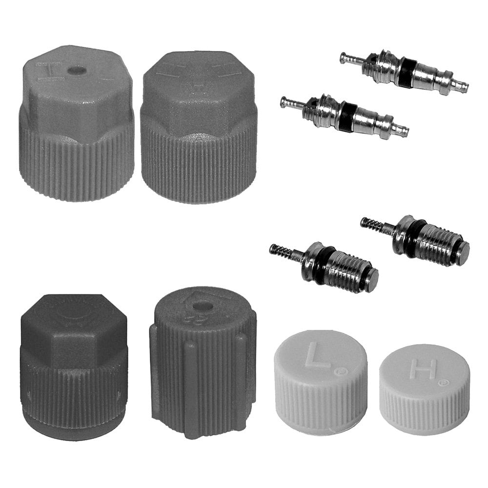 Santech® MT2909 - A/C System Valve Core and Cap Kit - TRUCKiD.com