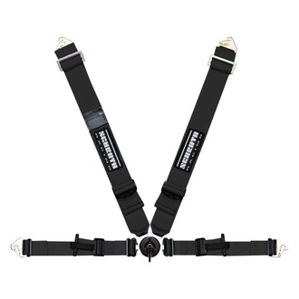 Schroth® - 4-Point Profi II ASM™ Harness Belt