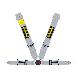 Schroth® - 4-Point Profi II ASM FE™ Driver Side Pull Down Harness Set, Silver