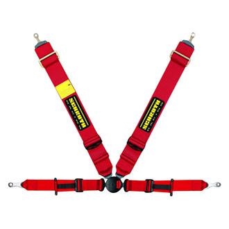 Schroth® - 4-Point Profi II ASM FE™ Passenger Side Pull Down Harness Set, Red