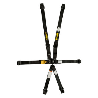 Schroth® - 5-Point SFI 16.1 Sub LatchLink 3 Lap Belt, Pull-up, Right and Left Side Adjuster