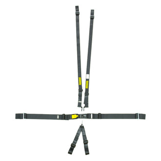 Schroth® - LatchLink 3" Lap 6-Point V-Sub Lap Pull-up Adjuster Hans 3-2" Shoulder Harness Set