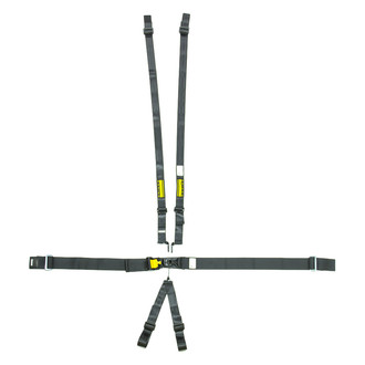 Schroth® - LatchLink 3" Lap 6-Point V-Sub Lap Pull Down Passenger Side Adjuster Hans 3-2" Shoulder