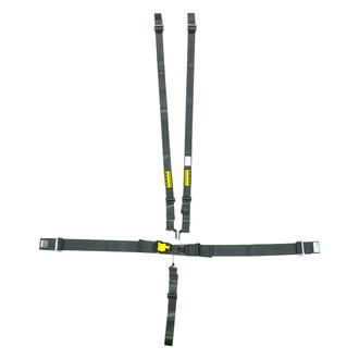 Schroth® - LatchLink 3" Lap 5-Point Adjuster Sub Pull Down Adjuster Hans 3-2" Shoulder Harness Set
