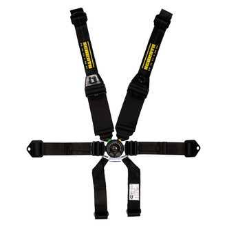 Schroth® - SFI 16.5™ Profi II™ Hans Pull Down Driver Side 6-Point Black Harness Set