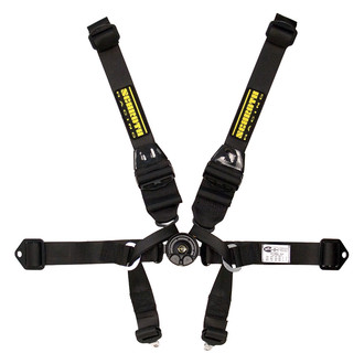Schroth® - 7-Point SFI 16.6 Formula II Pull-up Lap Belt